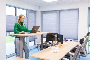 Zalaegerszeg, Széchenyi Egyetem - Inkubátor ház