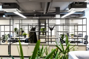 Budapest – Exclusive change