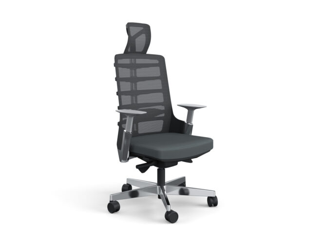 scaun rotativ cu tetieră