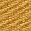 NA-12-fab-069 senape